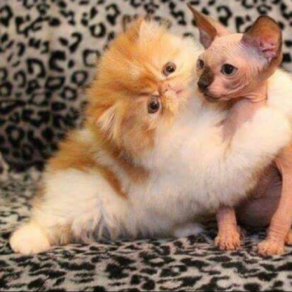 Open for business 24/7 🤩 - Picture 5 of 16